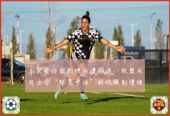东契奇与裁判理论遭驱逐,联盟或将出台“球星申诉”新规限制情绪表达