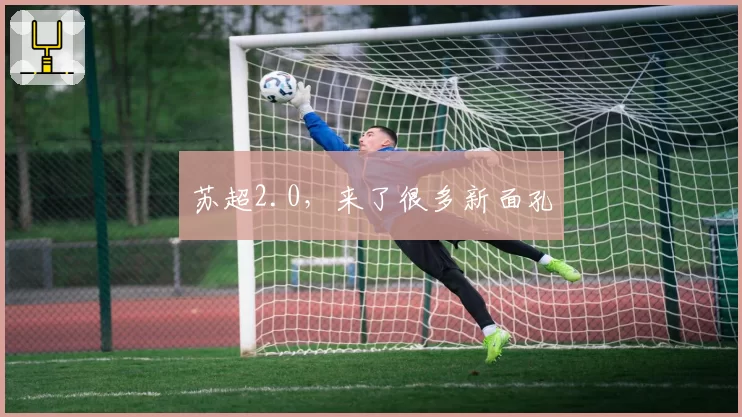 苏超2.0,来了很多新面孔